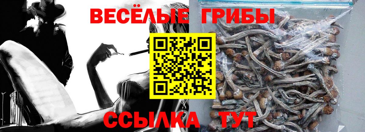Амурск  Галлюциногенные грибы Cubensis  Вход с VPN  Псилоцибиновые грибы MAGIC MUSHROOMS 