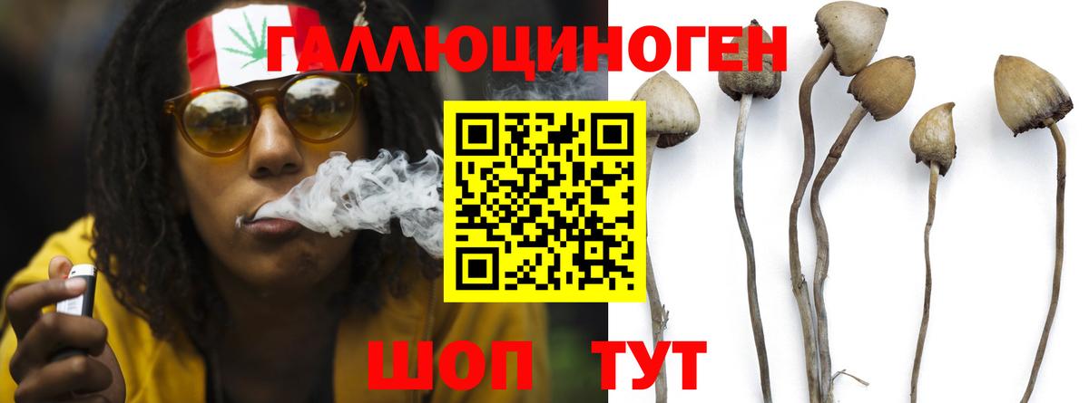 Псилоцибиновые грибы GOLDEN TEACHER Амурск